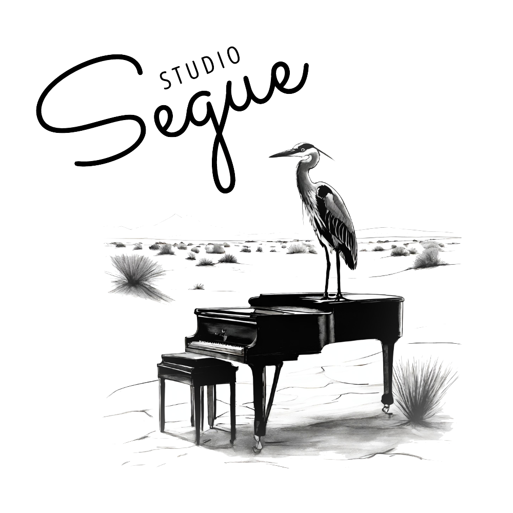 The Studio Segue logo.